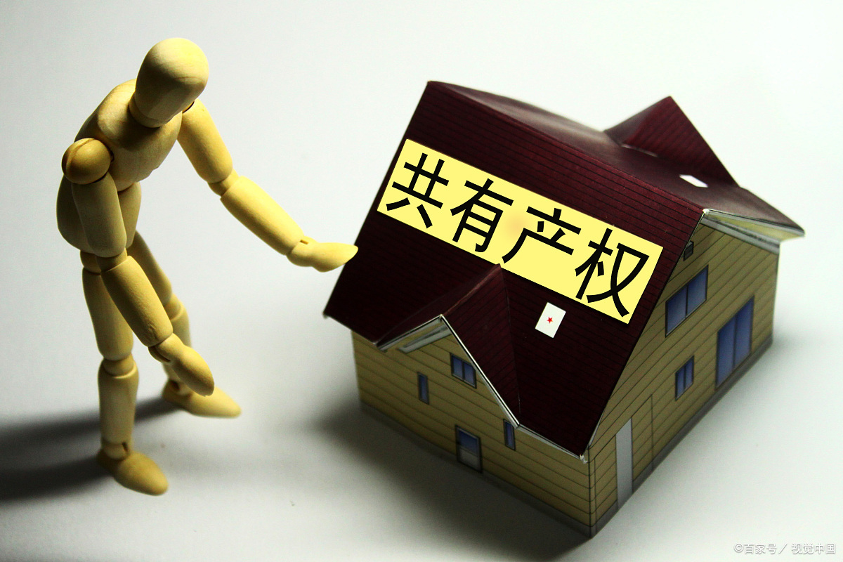 房产律师——母亲在父亲去世后将房屋赠与孙子女，子女起诉合同无效纠纷